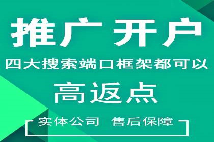 SEM竞价开户实操指南：经典案例解读